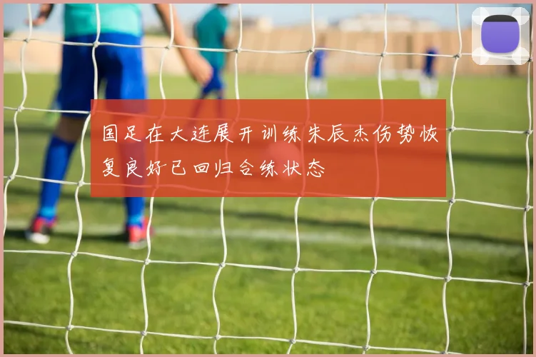 国足在大连展开训练朱辰杰伤势恢复良好已回归合练状态
