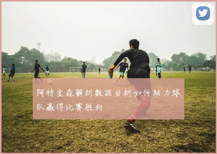 阿特金森解析数据分析如何助力球队赢得比赛胜利
